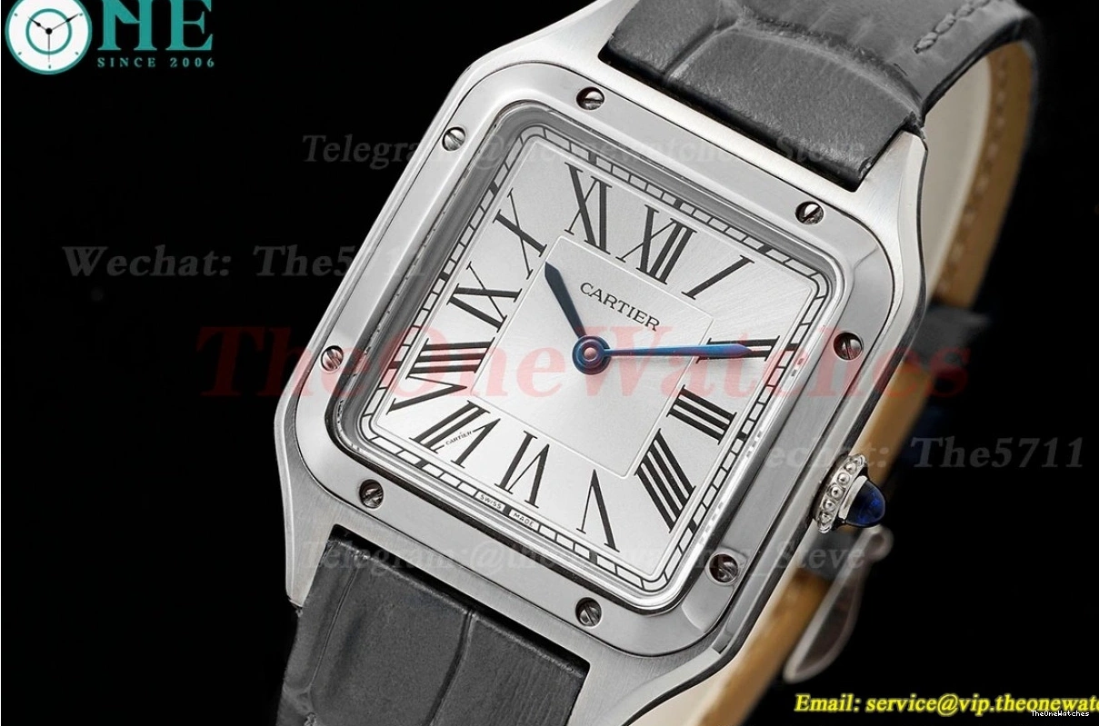 Quartz Grey Dumont Santos SS Dial AF LE Silver 0116